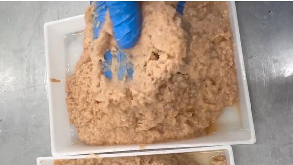 เนื้อแซลมอนบด 100 %