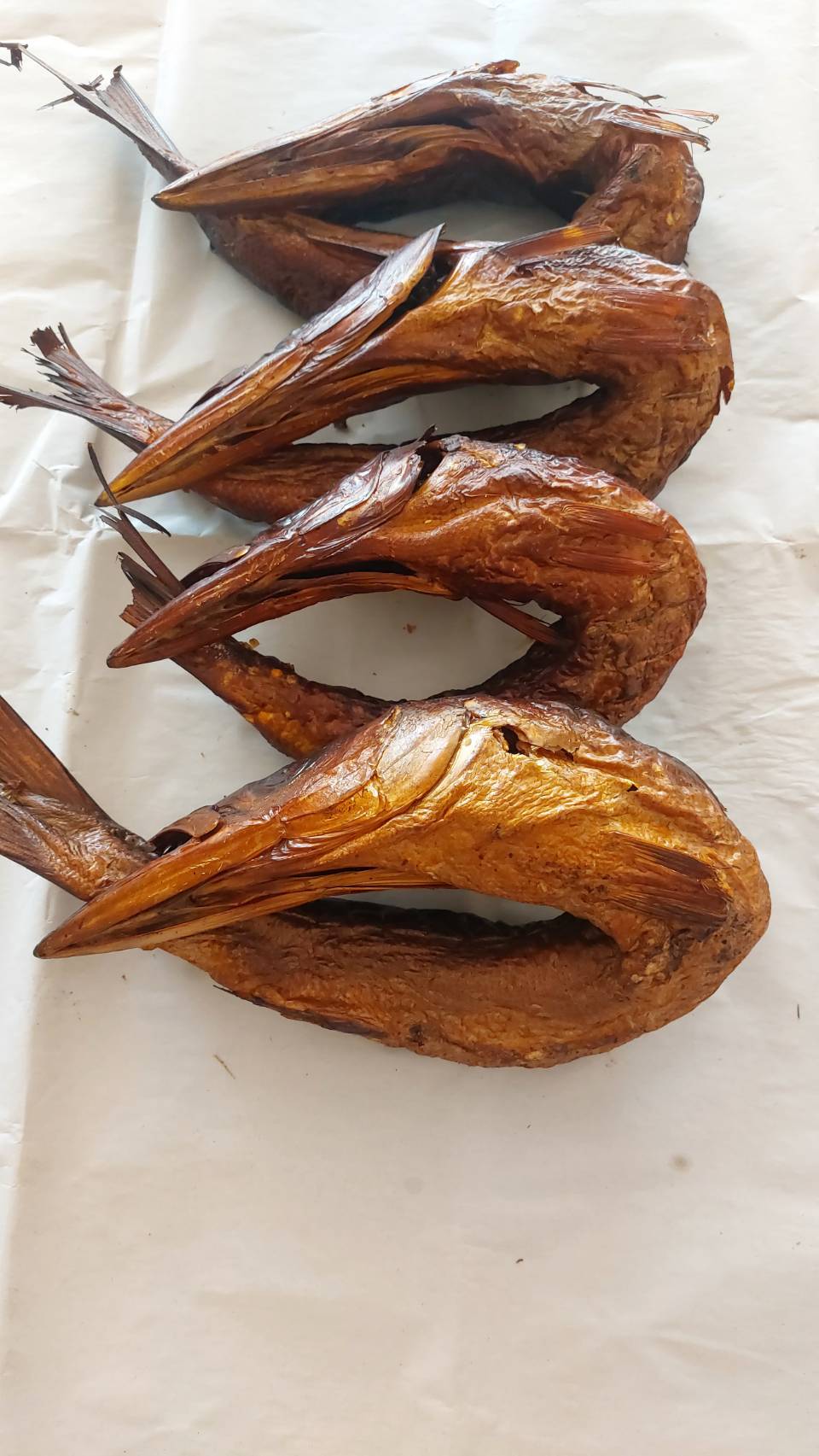 ปลาน้ำดอกไม้อบแห้ง  ( Barracuda Sea Fish)